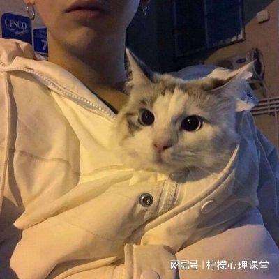 芈月传之传奇佳人内购破解版下载
