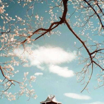 兵者手游下载